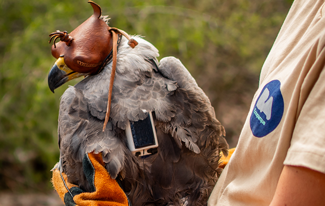 Add Image Description